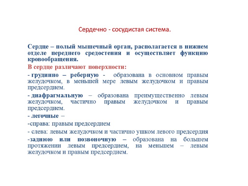 Сердечно - сосудистая система. Сердце – полый мышечный орган, располагается в нижнем отделе переднего